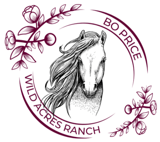 Horsemanship Training | Bo Price Wild Acres Ranch